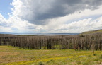 Yellowstone