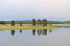 Yellowstone