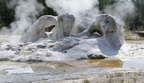 Yellowstone